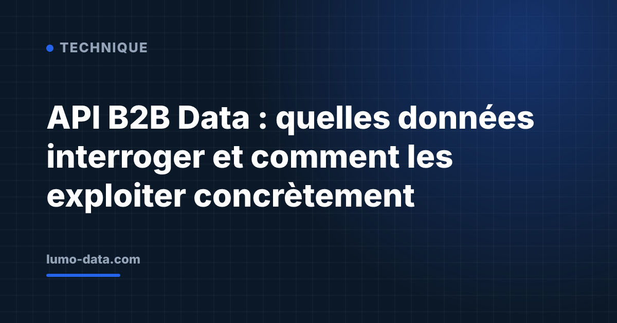 API B2B Data : quelles données interroger et comment les exploiter concrètement